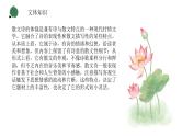 （精品）部编版语文七年级上册《散文诗二首——荷叶·母亲》课件PPT+教案+练习