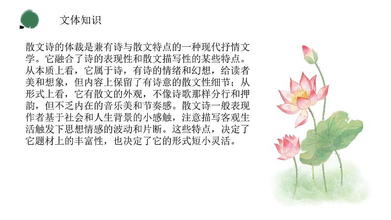 （精品）部编版语文七年级上册《散文诗二首——荷叶·母亲》课件PPT第5页