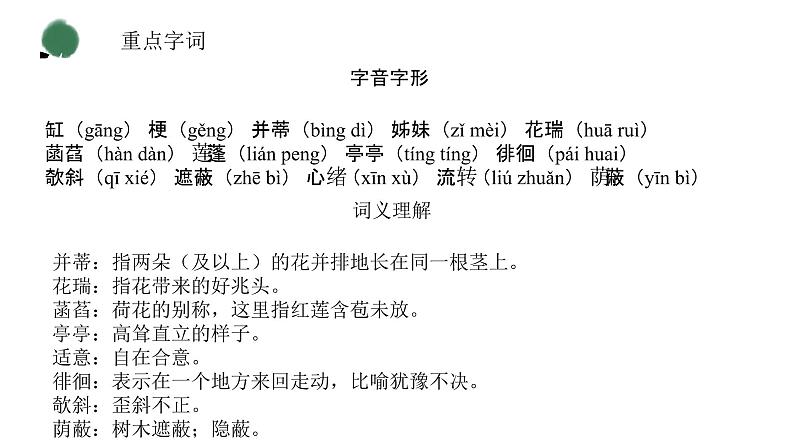 （精品）部编版语文七年级上册《散文诗二首——荷叶·母亲》课件PPT第6页