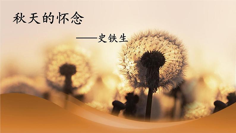 部编版七年级语文上册课件--5 秋天的怀念05
