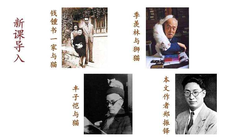 部编版七年级语文上册课件--16  猫05