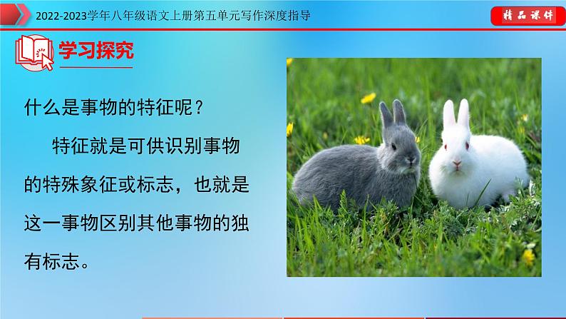 部编八年级语文上册第五单元写作深度指导-专题13说明事物要抓住特征课件第6页