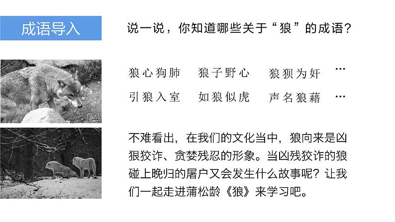 部编版七年级上册18《狼》教学课件02