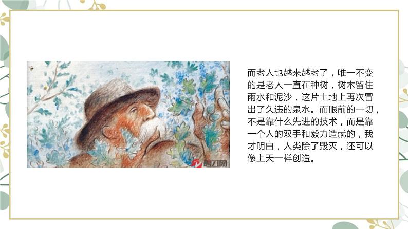 第13课《植树的牧羊人》课件   部编版语文七年级上册04