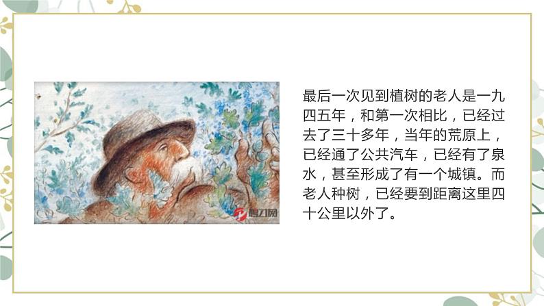 第13课《植树的牧羊人》课件   部编版语文七年级上册05