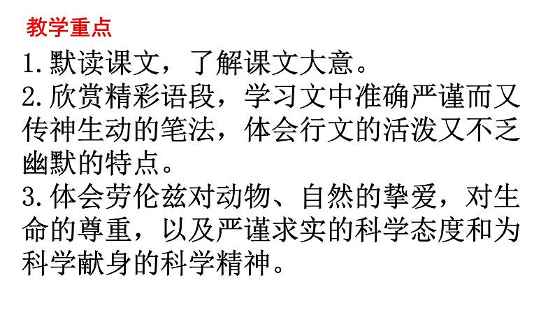 第17课《动物笑谈》课件   部编版语文七年级上册第2页