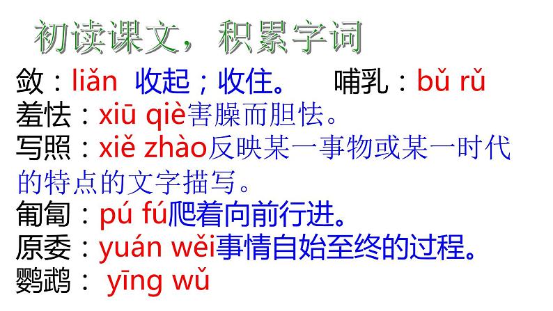 第17课《动物笑谈》课件   部编版语文七年级上册第5页