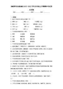 湖南怀化市溆浦县2021-2022学年九年级上学期期中考试语文试题(word版含答案)