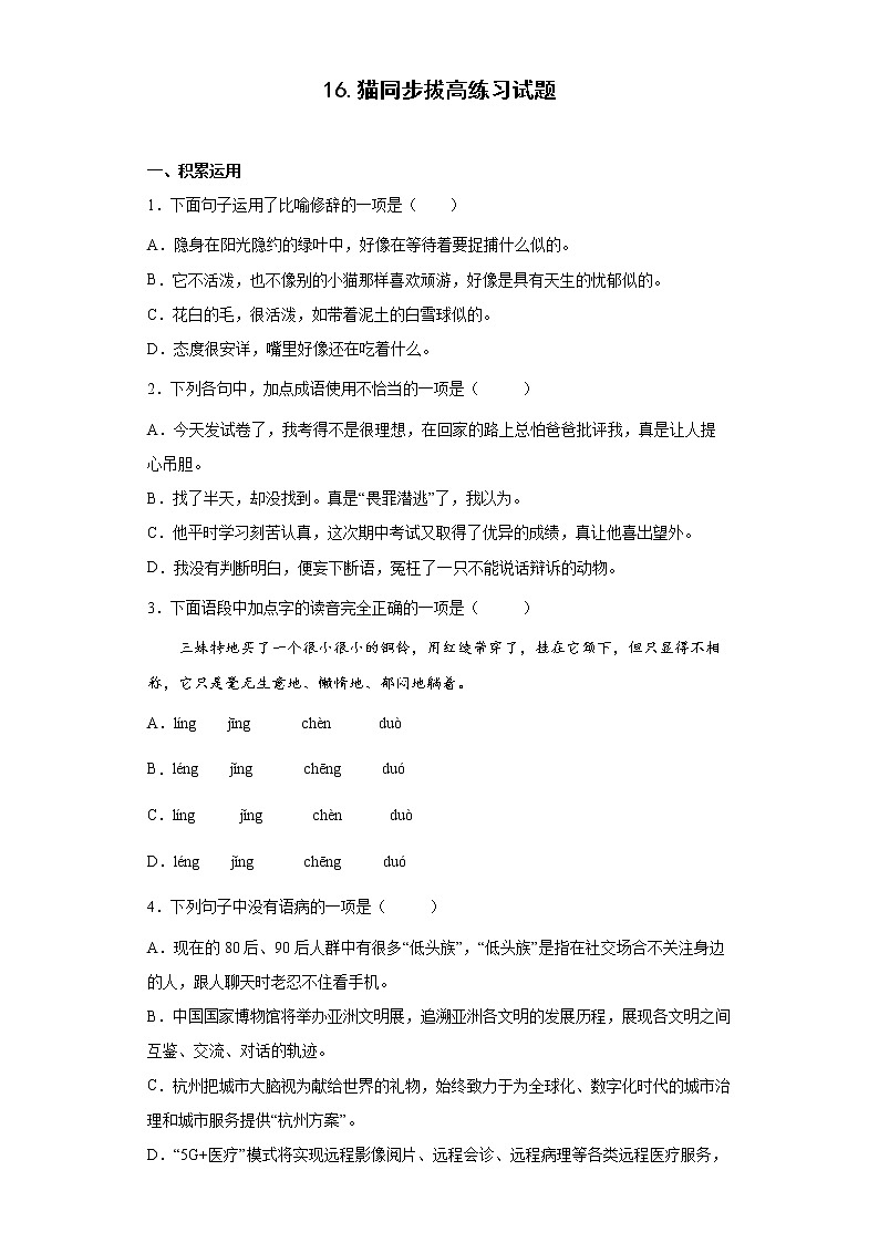 16.猫同步拔高练习试题01