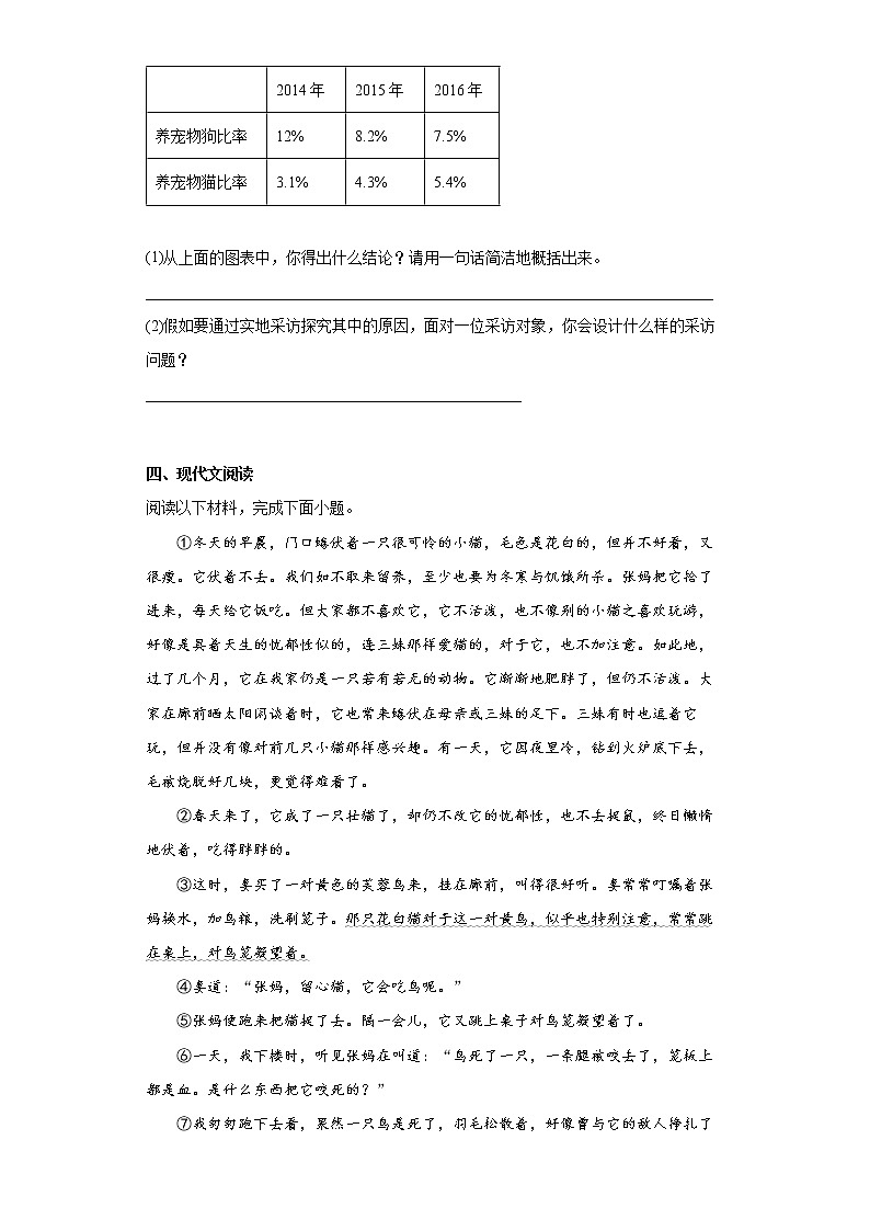 16.猫同步拔高练习试题03