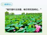部编语文七年级下《爱莲说》课件