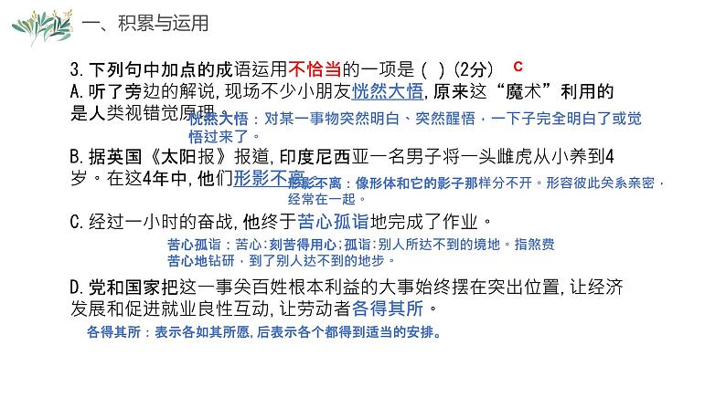 试卷部编版初中语文七年级上册期中过程性评价（一）讲评课件第5页