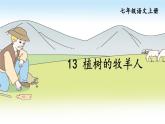 部编版语文七年级上册第四单元第十三课《植树的牧羊人》课件