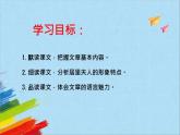 部编版八年级语文上册《美丽的颜色》教学课件