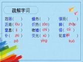 部编版八年级语文上册《美丽的颜色》教学课件