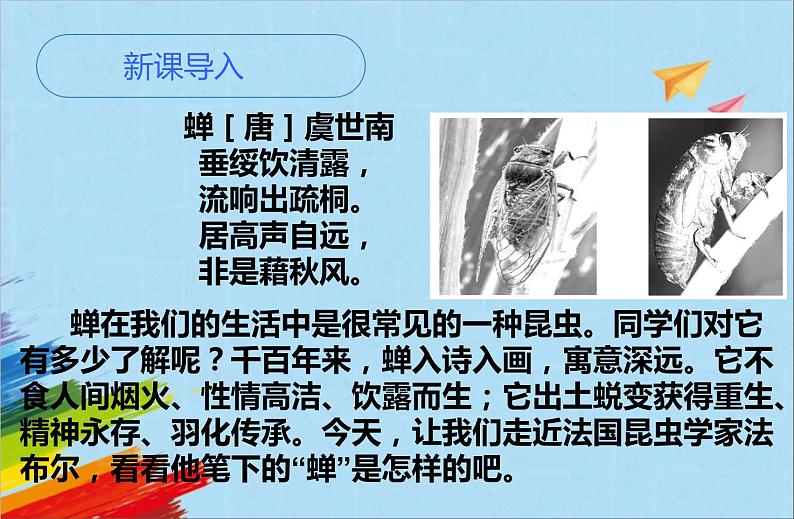 部编版八年级语文上册《蝉》教学课件02