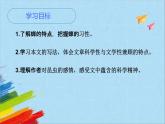 部编版八年级语文上册《蝉》教学课件