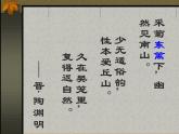2022年人教版七年级语文上册第4课古代诗歌四首之天净沙·秋思课件 (1)