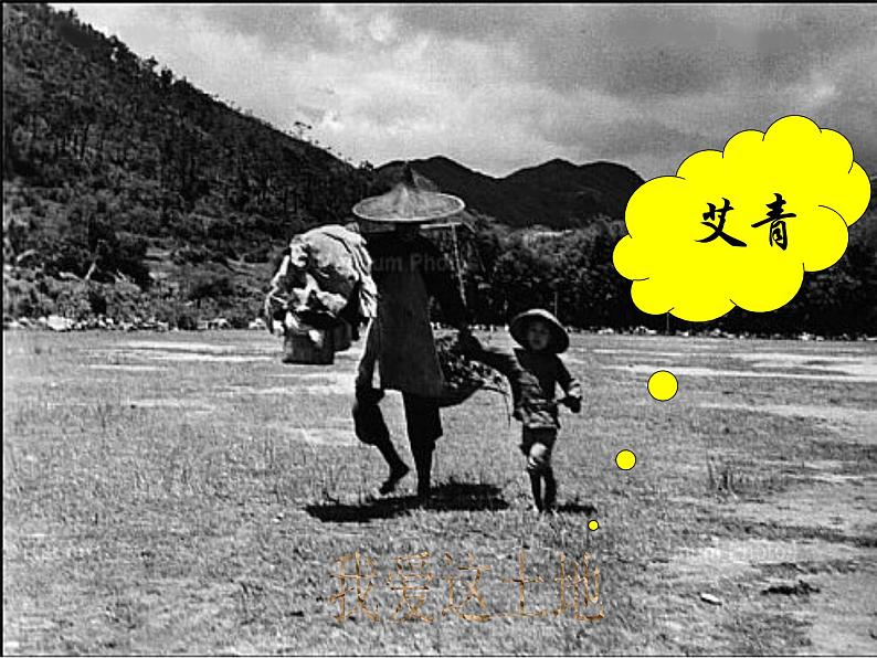 2022年人教版九年级语文上册第3课我爱这土地课件 (1)07