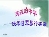 2022年人教版九年级语文上册第3课我爱这土地课件 (3)