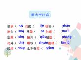 人教版​​语文九年级上册  16我的叔叔于勒 【课件+教案】