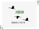 部编版语文八年级下册第二单元《大雁归来》课件