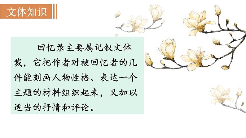 7 《回忆我的母亲》（课件+教案） 2022-2023学年部编版语文八年级上册06