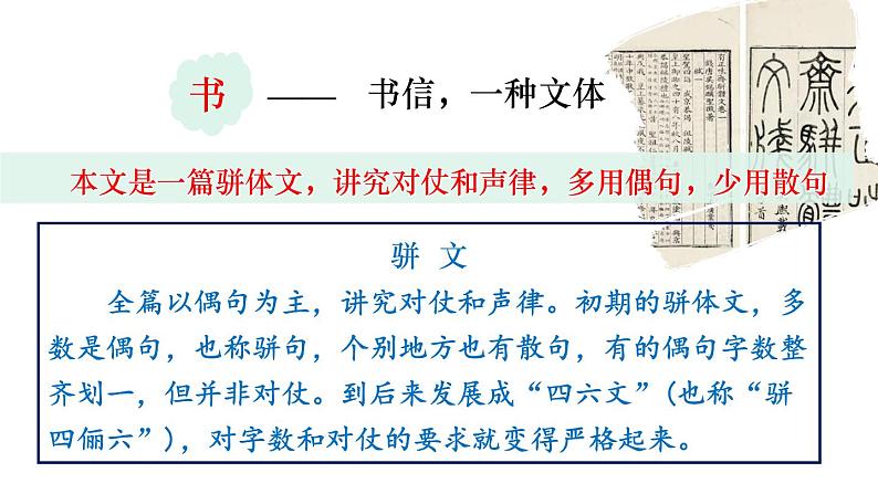 12  《与朱元思书》（课件+教案） 2022-2023学年部编版语文八年级上册05