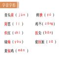 17  《昆明的雨》（课件+教案） 2022-2023学年部编版语文八年级上册