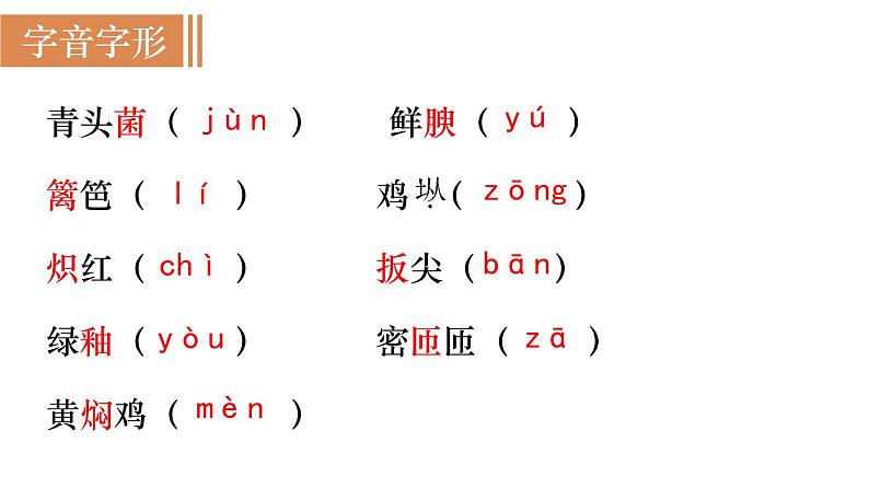 17  《昆明的雨》（课件+教案） 2022-2023学年部编版语文八年级上册05
