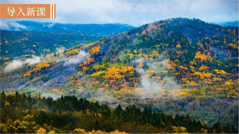 第1课时 《野望》 第2页