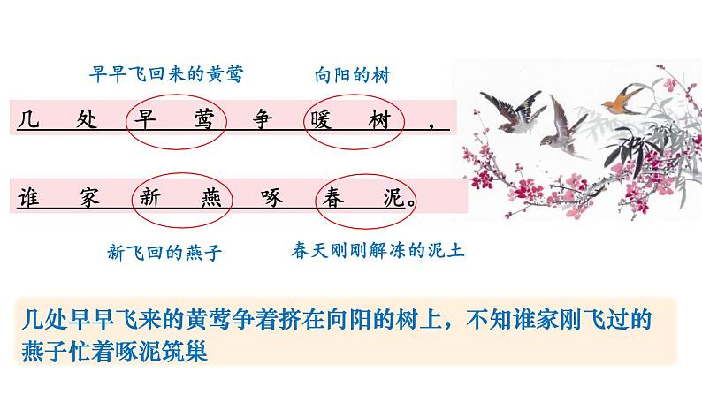 第5课时 《钱塘湖春行》第7页