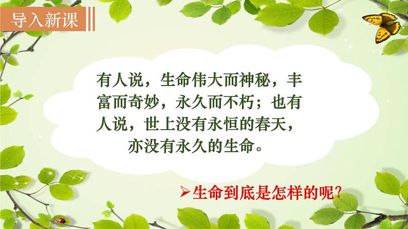 16  《散文二篇》（课件+教案） 2022-2023学年部编版语文八年级上册02
