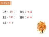 16  《散文二篇》（课件+教案） 2022-2023学年部编版语文八年级上册
