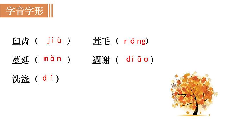 16  《散文二篇》（课件+教案） 2022-2023学年部编版语文八年级上册04