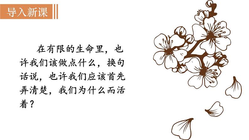 16  《散文二篇》（课件+教案） 2022-2023学年部编版语文八年级上册02