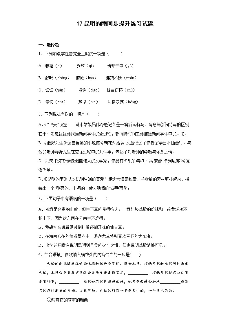 17.昆明的雨同步提升练习试题01