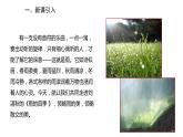 2022-2023学年度部编版七年级语文上册课件 3《雨的四季》