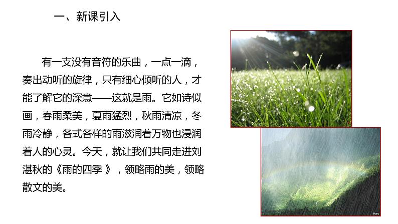 2022-2023学年度部编版七年级语文上册课件 3《雨的四季》02