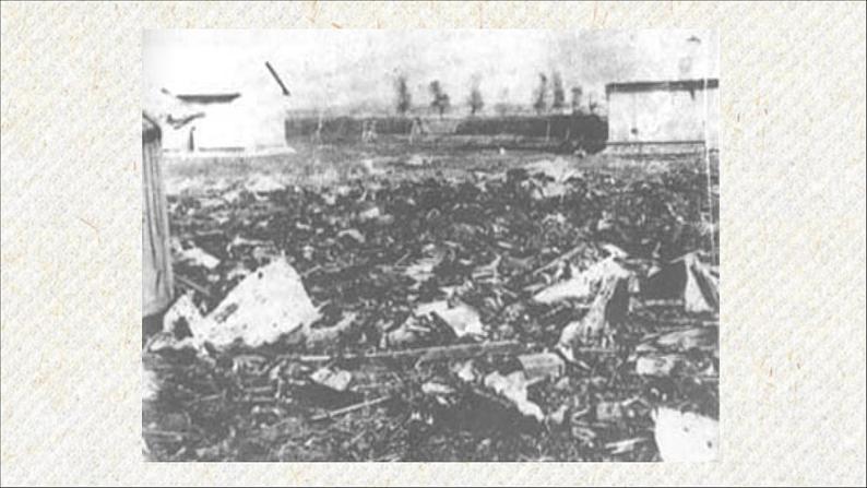 03 我爱这土地 课时课件 初中语文人教部编版九年级上册第4页