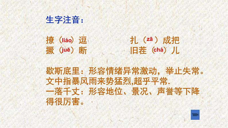 17 孤独之旅 课时课件 初中语文人教部编版九年级上册04