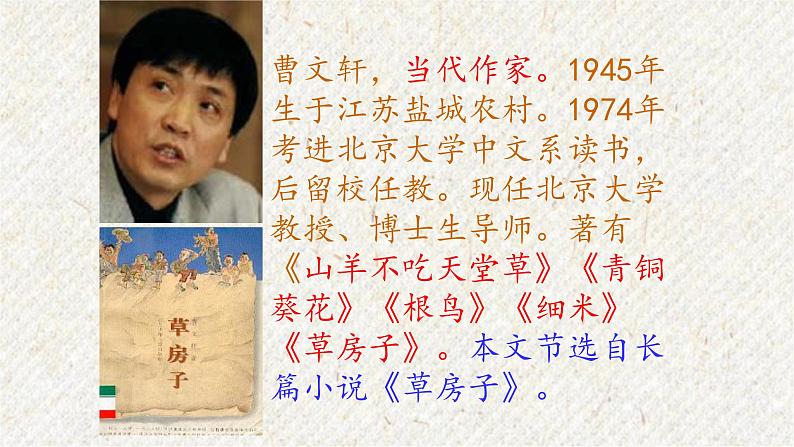 17 孤独之旅 课时课件 初中语文人教部编版九年级上册06