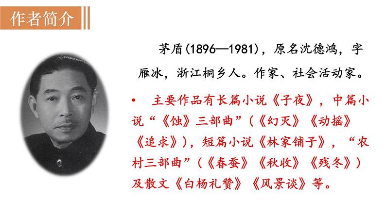 15  白杨礼赞第5页