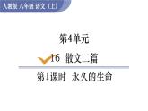 部编版八年级语文上册课件 第四单元 16  散文二篇 1 永久的生命
