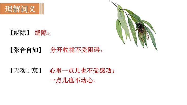 21  蝉第6页