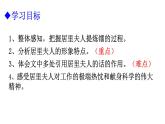 部编版八年级语文上册--9 美丽的颜色课件