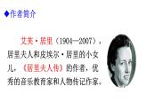 部编版八年级语文上册--9 美丽的颜色课件