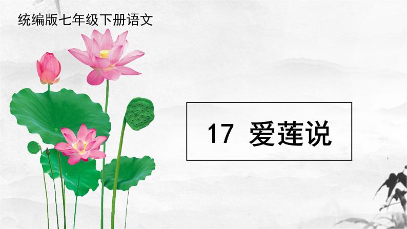 第17课《爱莲说》课件03
