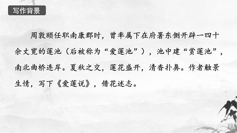 第17课《爱莲说》课件06