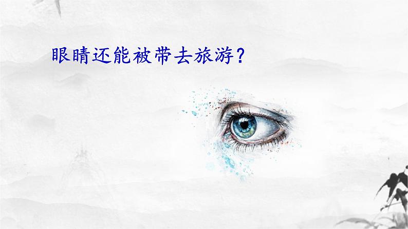 第24课《带上她的眼睛》课件第4页